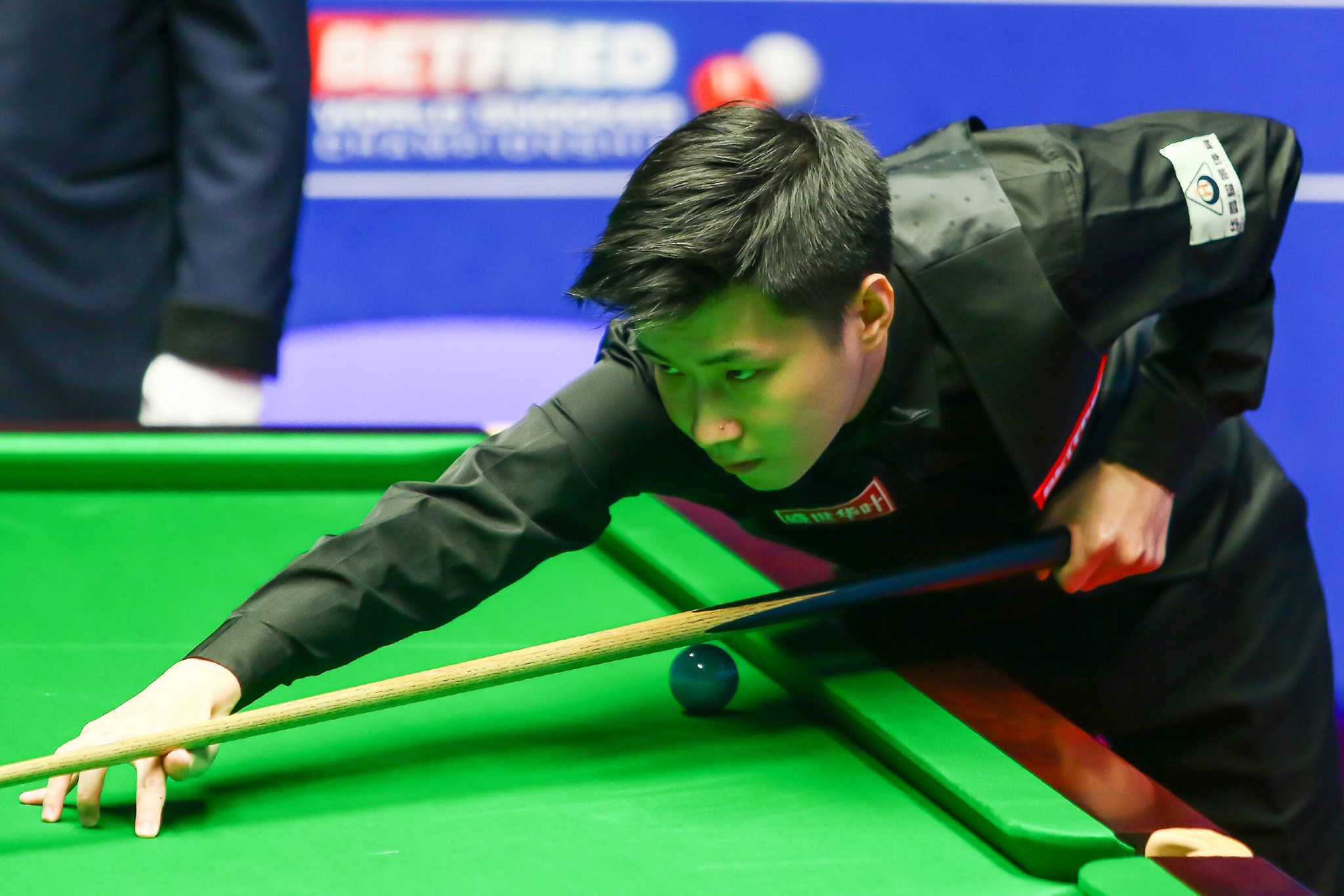 可以预见 可以预见