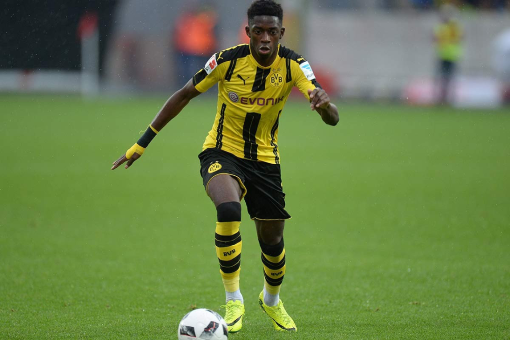 自由与大自 自由与大自